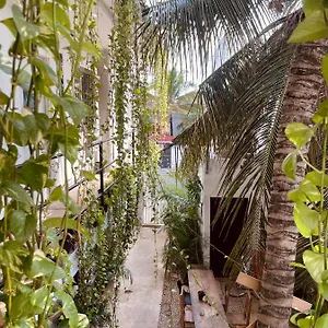 Anana Coliving Mini-hôtel Playa del Carmen
